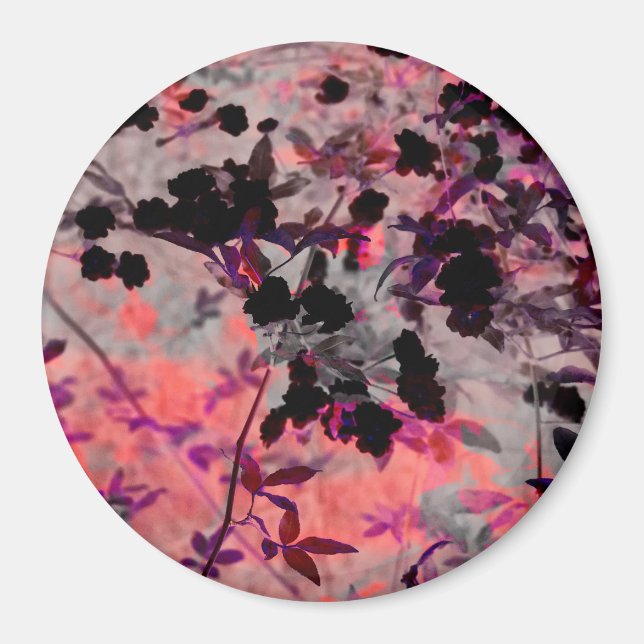 Íman Espelho das flores pretas vermelhas Arte design (Frente)