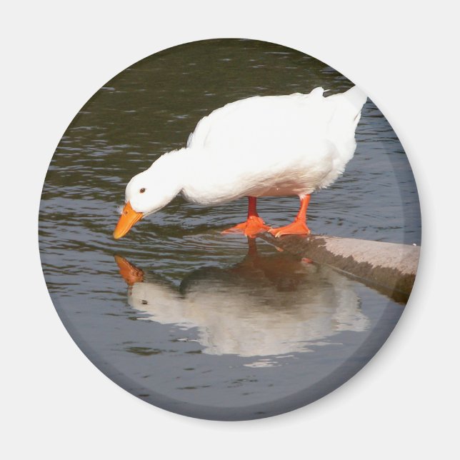 Íman Espelho Espelho (Frente)