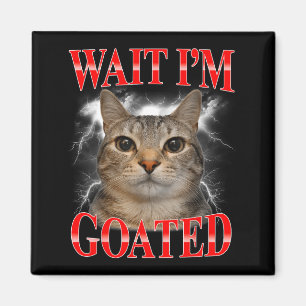 Íman Espera gato lendário bobo meme de gato engraçado h