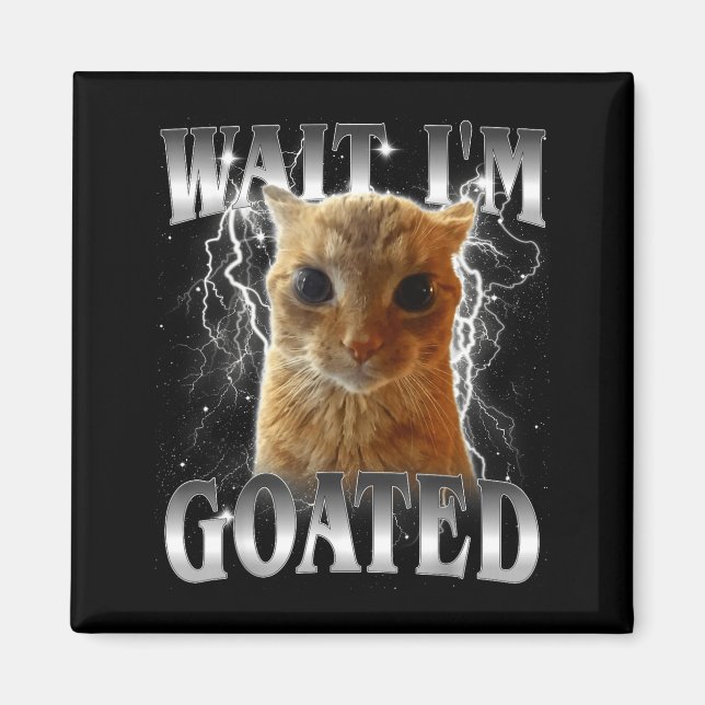 Íman Espera, sou lendário meme engraçado de gato olhand (Frente)