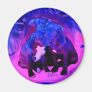 Íman Esperança da fé & caridade, cães abusados do