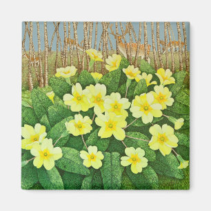 Íman Esperança de 2011