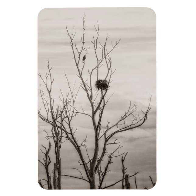 Íman Esperando a vida (Vertical)