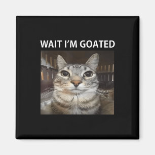 Íman Esperar Im Goated Bobo Cat Meme