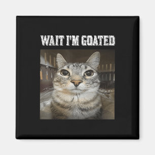 Íman Espere, eu tenho um "Humor de Gato"