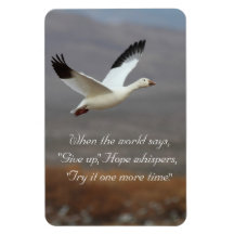 Espero que os sussurros tentem mais uma vez