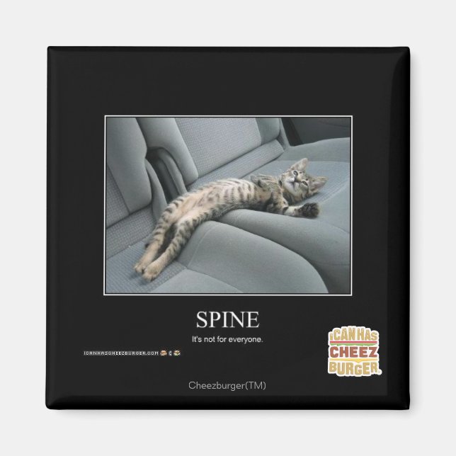 Íman Espinha (Frente)