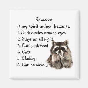 Íman Espírito Animal de Guaxinim Engraçado Humor Aquare