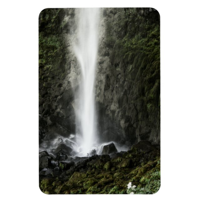 Íman Espírito da Bacia (Vertical)