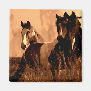 Íman Espíritos do Cavalo