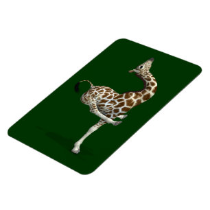 Íman Esportaria Encantada Giraffe