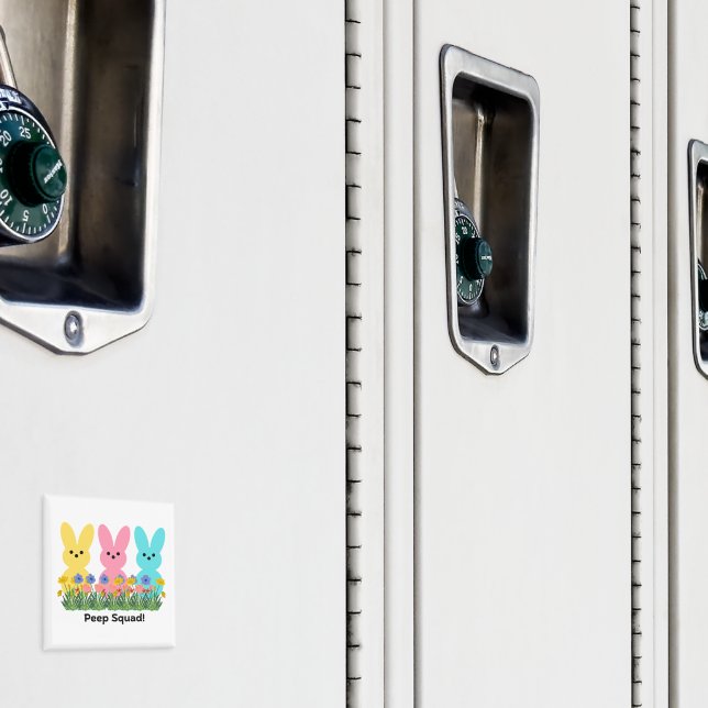 Íman Esquadrão Bisbilhoteiro (In Situ (Locker))
