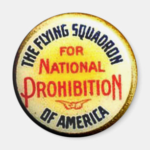 Íman Esquadrão do vôo - ímã