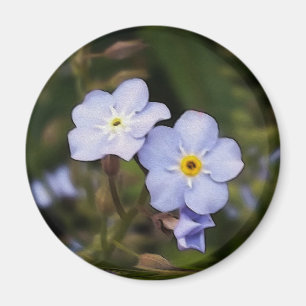 Íman Esqueça-me não flores