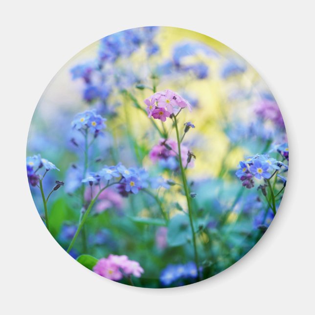 Íman Esqueçam-me-não-flores (Frente)