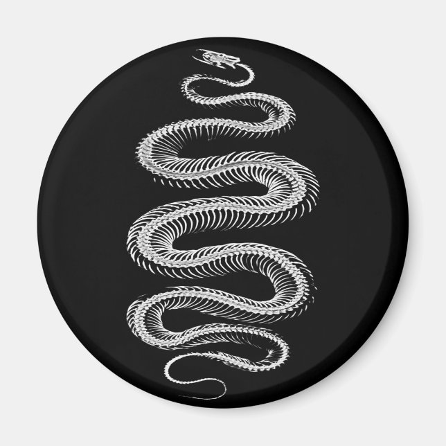 Íman Esqueleto de Cobra de deslizamento (Frente)
