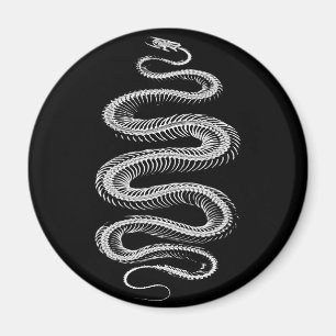 Íman Esqueleto Slithering do cobra