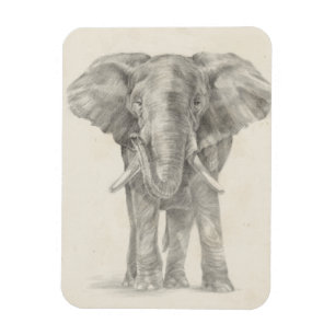 Íman Esquema do Elefante