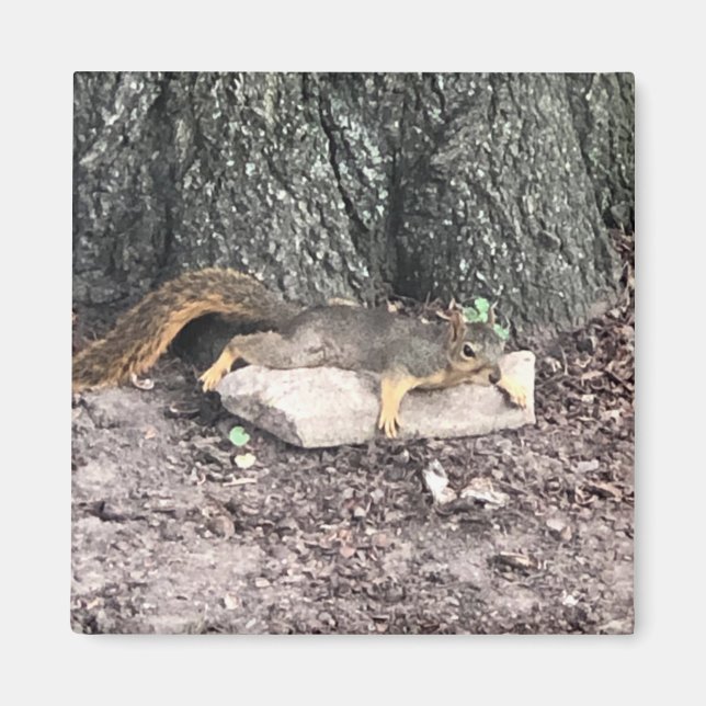 Íman Esquilo (Frente)