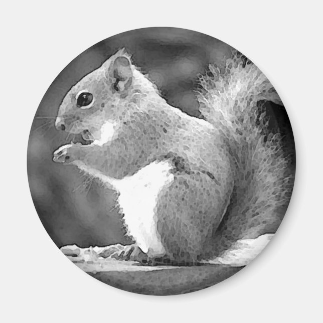 Íman Esquilo (Frente)