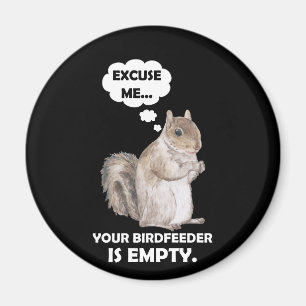 Íman Esquilo Com Licença, Seu BirdFeeder Está Vazio