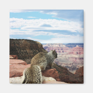 Íman Esquilo com vista para o Grand Canyon, Arizona