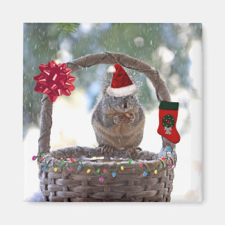 Íman Esquilo de Natal em Snowy Basket