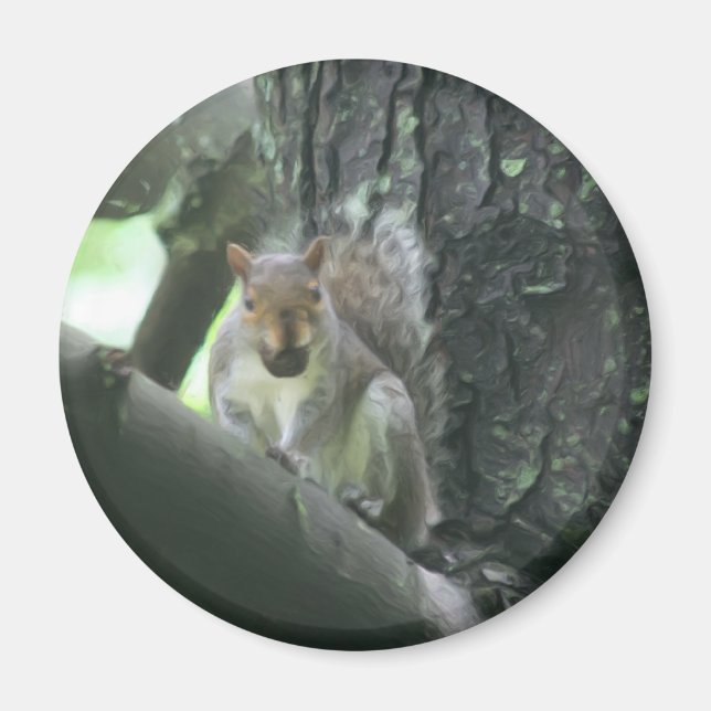 Íman Esquilo no ímã animal da arte da árvore (Frente)