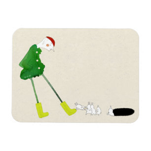 Íman Essas Inicializações 2014