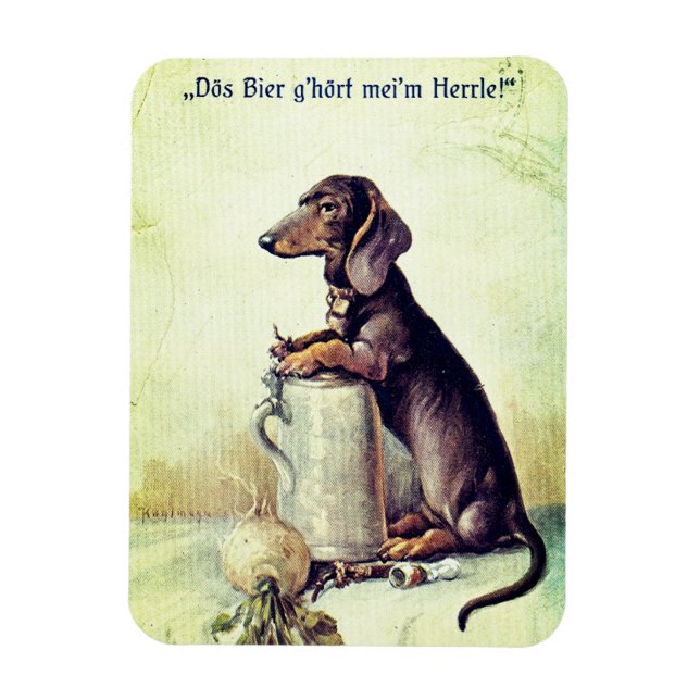 Íman Esta cerveja pertence ao meu mestre! (Vertical)