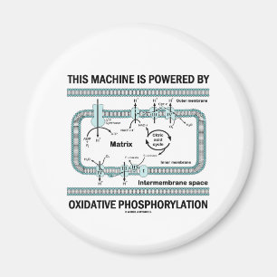 Íman Esta máquina psta pela fosforilação oxidativo