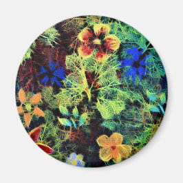 Íman Está no ímã das cores