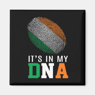 Íman Está No Meu Dna Irlanda Bandeira Irlandesa Present