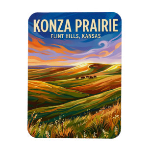 Íman Estação Biológica de Konza Prairie EUA