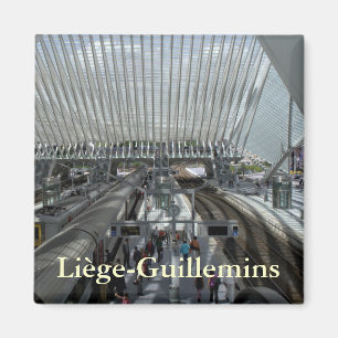 Íman Estação ferroviária Liège-Guillemins