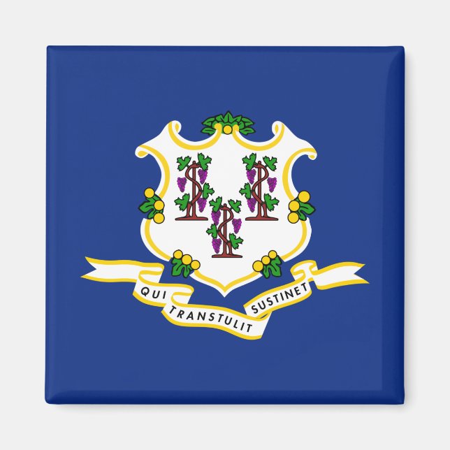 Íman Estado de bandeira do Connecticut (Frente)