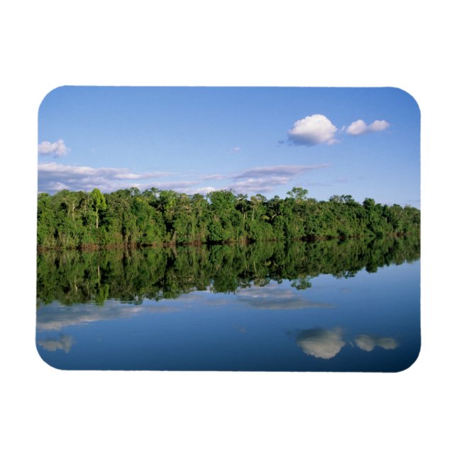 Íman Estado do Mato Grosso, Amazônia, Brasil. Florestad (Horizontal)