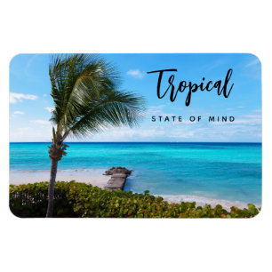 Íman Estado Tropical de Espírito Vista Cênica do Oceano