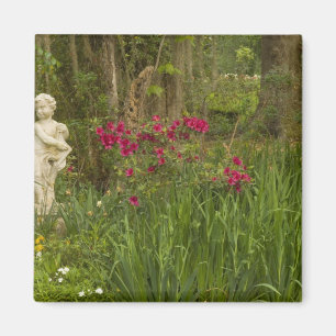 Íman Estados Unidos; Carolina do Sul; Charleston; 4