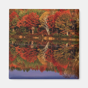 Íman Estados Unidos, Michigan, Upper Peninsula. Outono