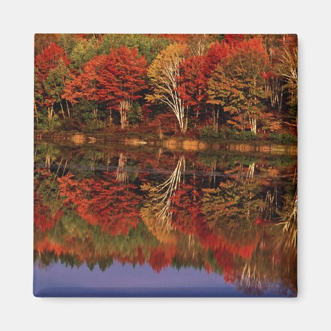 Íman Estados Unidos, Michigan, Upper Peninsula. Outono (Frente)