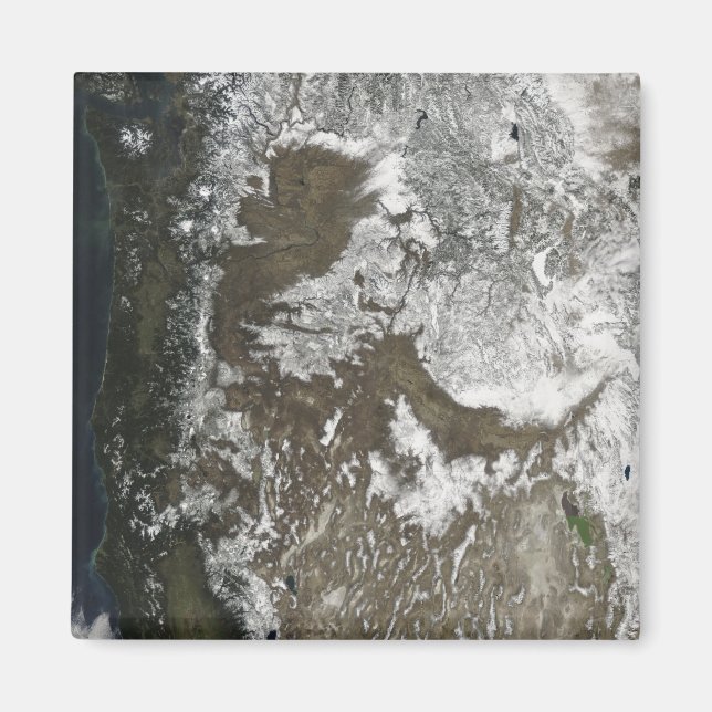 Íman Estados Unidos ocidentais (Frente)