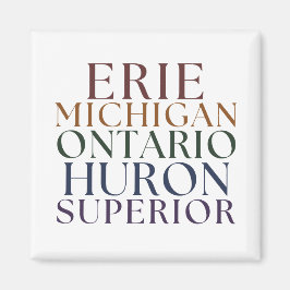 Íman Estadual de excelente Lagos estacionando o medidor