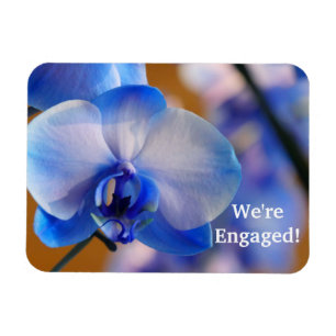 Íman Estamos encantados! Magneta flexível