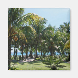 Íman Estância de Verão