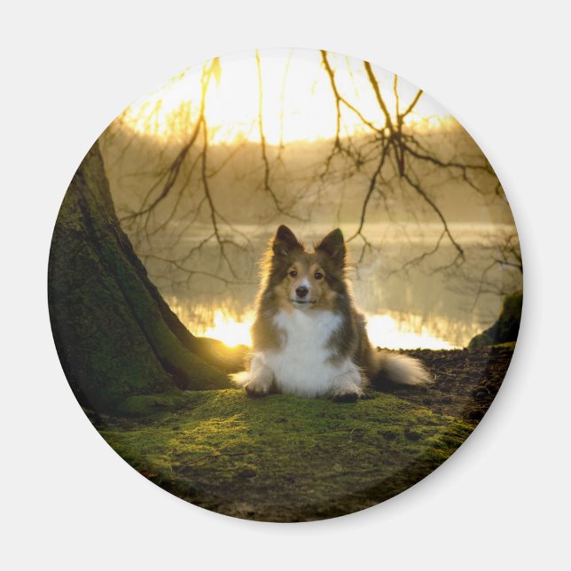 Íman estante (Frente)