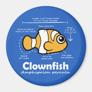 Íman Estatísticas de Clownfish