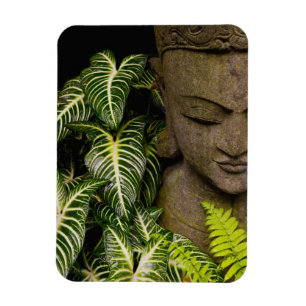 Íman Estátua em uma informações sobre localização 