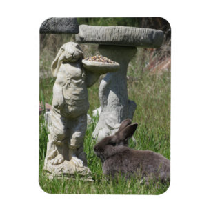 Íman Estatueta de Coelho e Bunny Alimentador de Pássaro