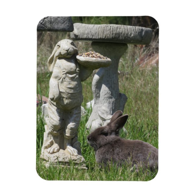 Íman Estatueta de Coelho e Bunny Alimentador de Pássaro (Vertical)